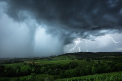 Wether or Not