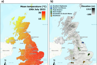 UK Heatwave