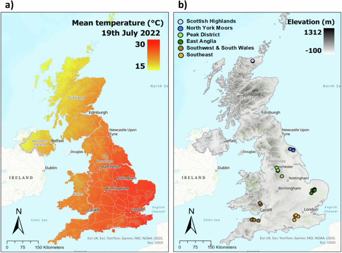 UK Heatwave